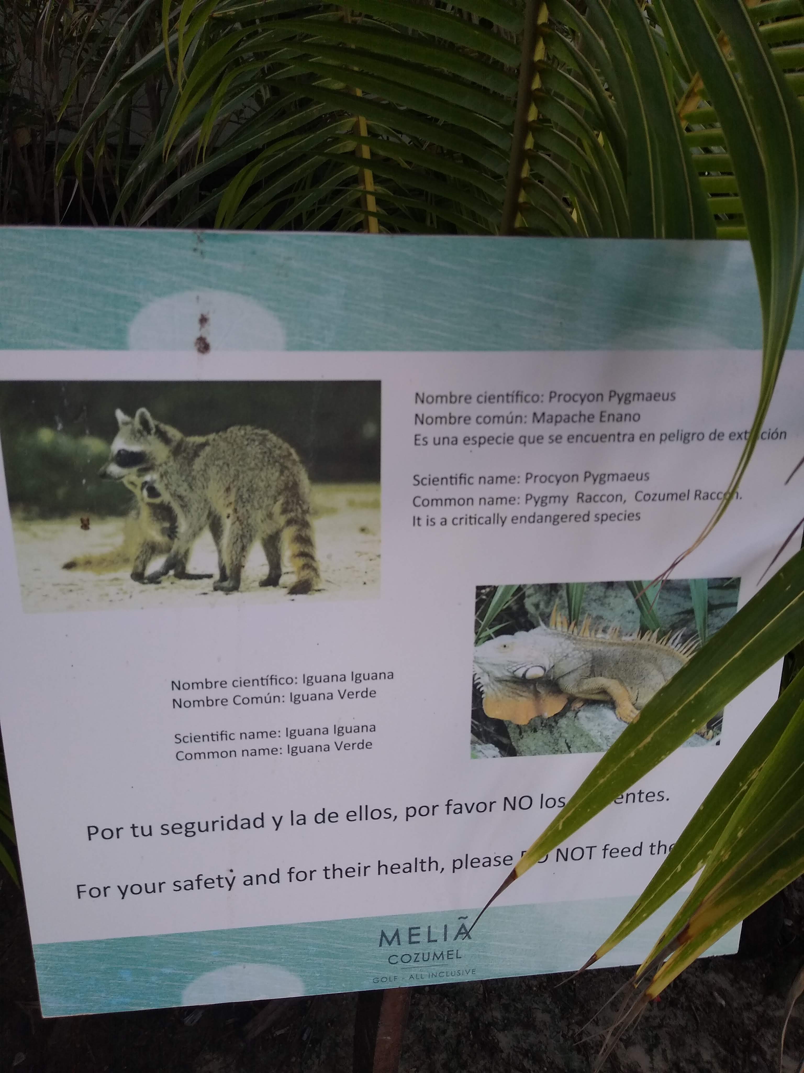 Loading Resort Image...